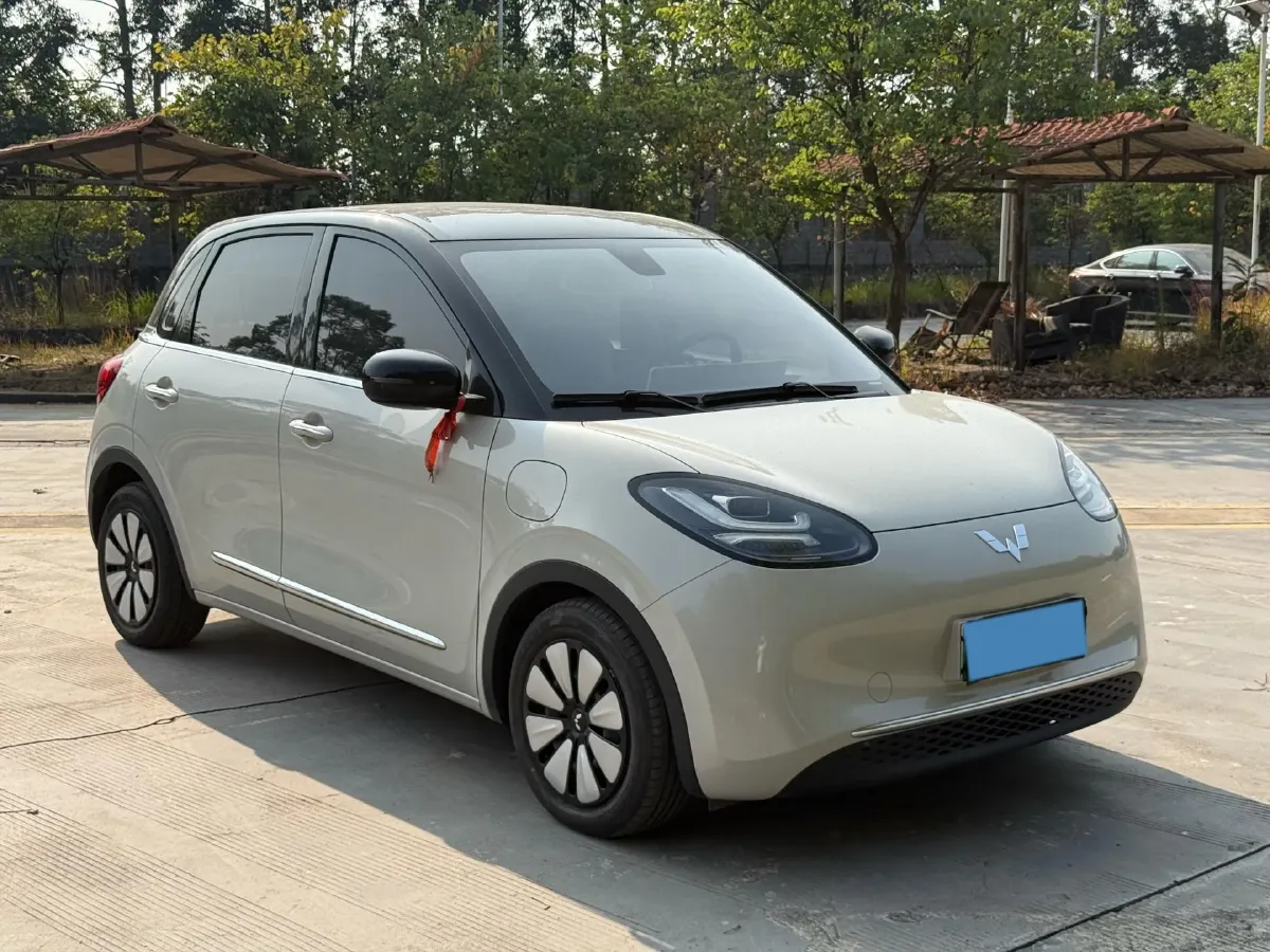 2023 WuLing BinGuo BEV 37.9KWH,autocango,china used car exporter,china ev exporter,chinese used car exporter,chinese used ev exporter