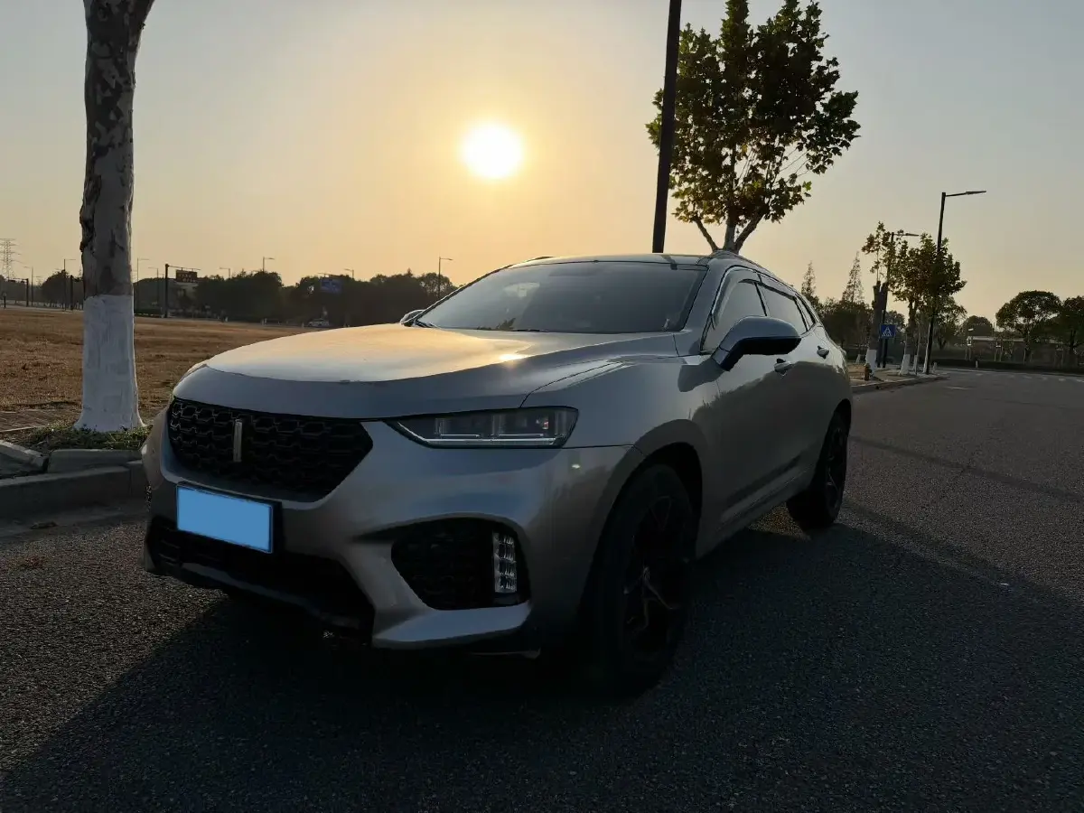 2017 WEY VV7 2.0T 234HP L4 7DCT