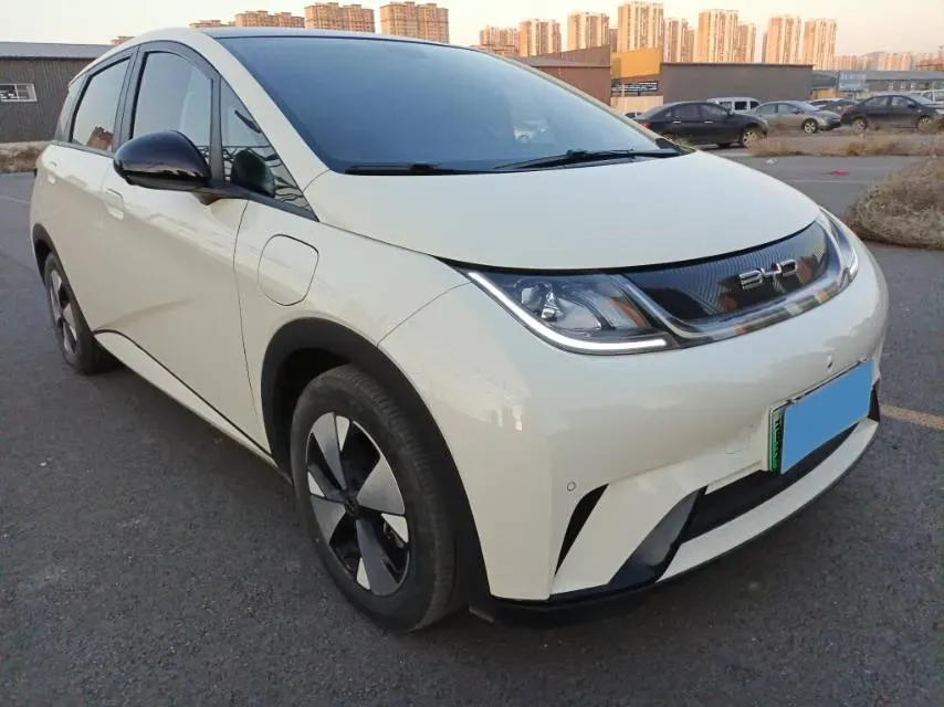 2021 Ford Escort 1.5L 122HP L3 6AT,autocango,china used car exporter,china ev exporter,chinese used car exporter,chinese used ev exporter