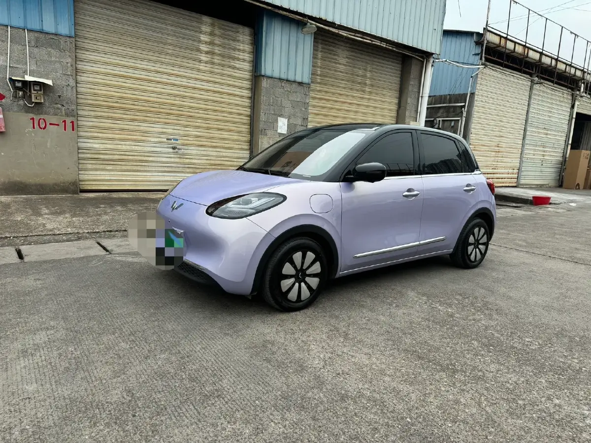 2025 WuLing BinGuo BEV