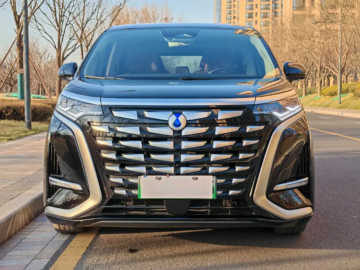 2024 Denza D9 1.5T 139HP L4 E-CVT PHEV 40KWH,autocango,china used car exporter,china ev exporter,chinese used car exporter,chinese used ev exporter