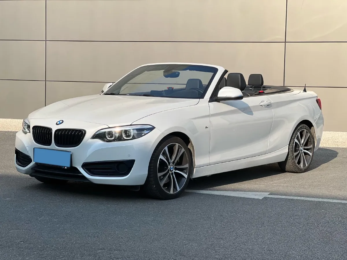2019 BMW 2 Series 2.0T 184HP L4 8AT,autocango,china used car exporter,china ev exporter,chinese used car exporter,chinese used ev exporter
