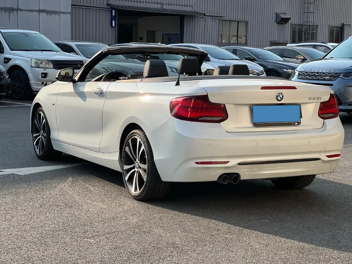2019 BMW 2 Series 2.0T 184HP L4 8AT,autocango,china used car exporter,china ev exporter,chinese used car exporter,chinese used ev exporter