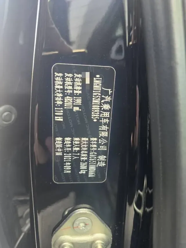 2021 GAC Trumpchi M8 2.0T 252HP L4 8AT,autocango,china used car exporter,china ev exporter,chinese used car exporter,chinese used ev exporter