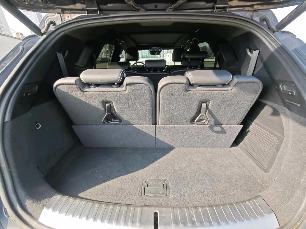 2020 Denza X 2.0T 192HP L4 6DCT PHEV 20KWH,autocango,china used car exporter,china ev exporter,chinese used car exporter,chinese used ev exporter