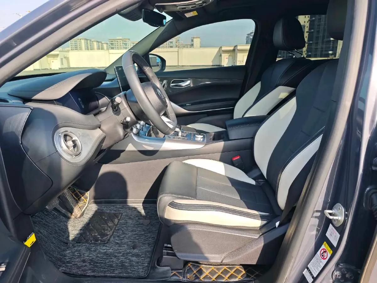 2020 Denza X 2.0T 192HP L4 6DCT PHEV 20KWH,autocango,china used car exporter,china ev exporter,chinese used car exporter,chinese used ev exporter