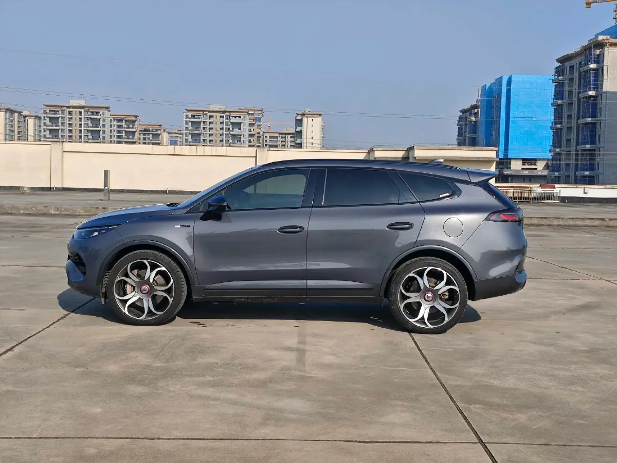 2020 Denza X 2.0T 192HP L4 6DCT PHEV 20KWH,autocango,china used car exporter,china ev exporter,chinese used car exporter,chinese used ev exporter