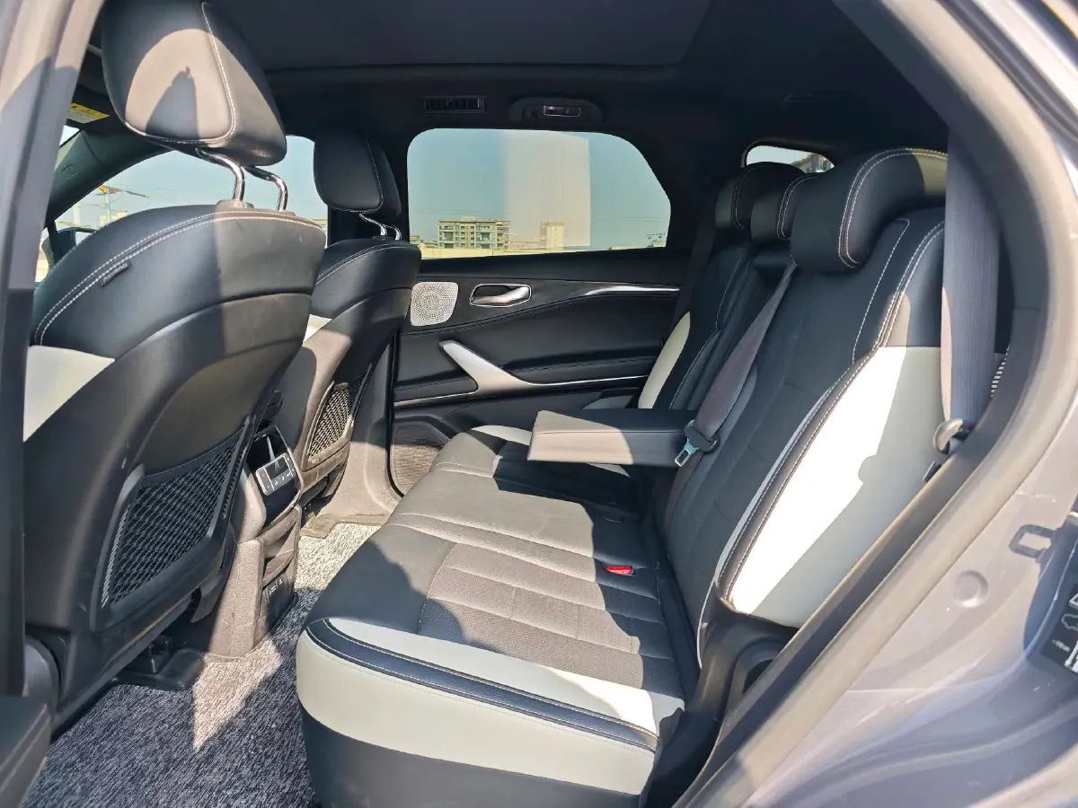 2020 Denza X 2.0T 192HP L4 6DCT PHEV 20KWH,autocango,china used car exporter,china ev exporter,chinese used car exporter,chinese used ev exporter