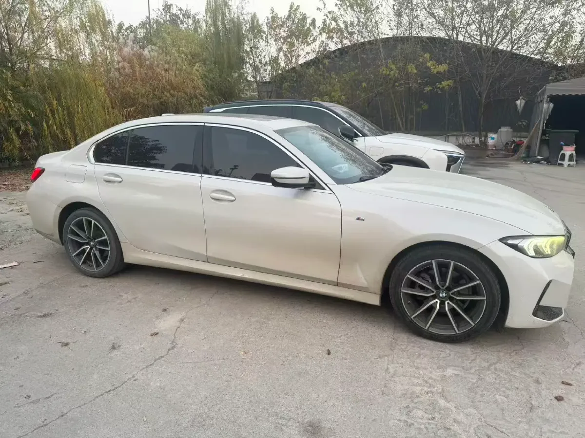 2023 BMW 3 Series 2.0T 156HP L4 8AT,autocango,china used car exporter,china ev exporter,chinese used car exporter,chinese used ev exporter