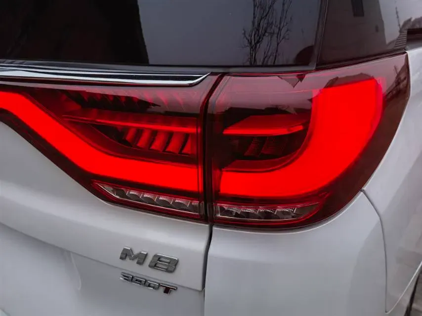 2021 GAC Trumpchi M8 2.0T 252HP L4 8AT,autocango,china used car exporter,china ev exporter,chinese used car exporter,chinese used ev exporter