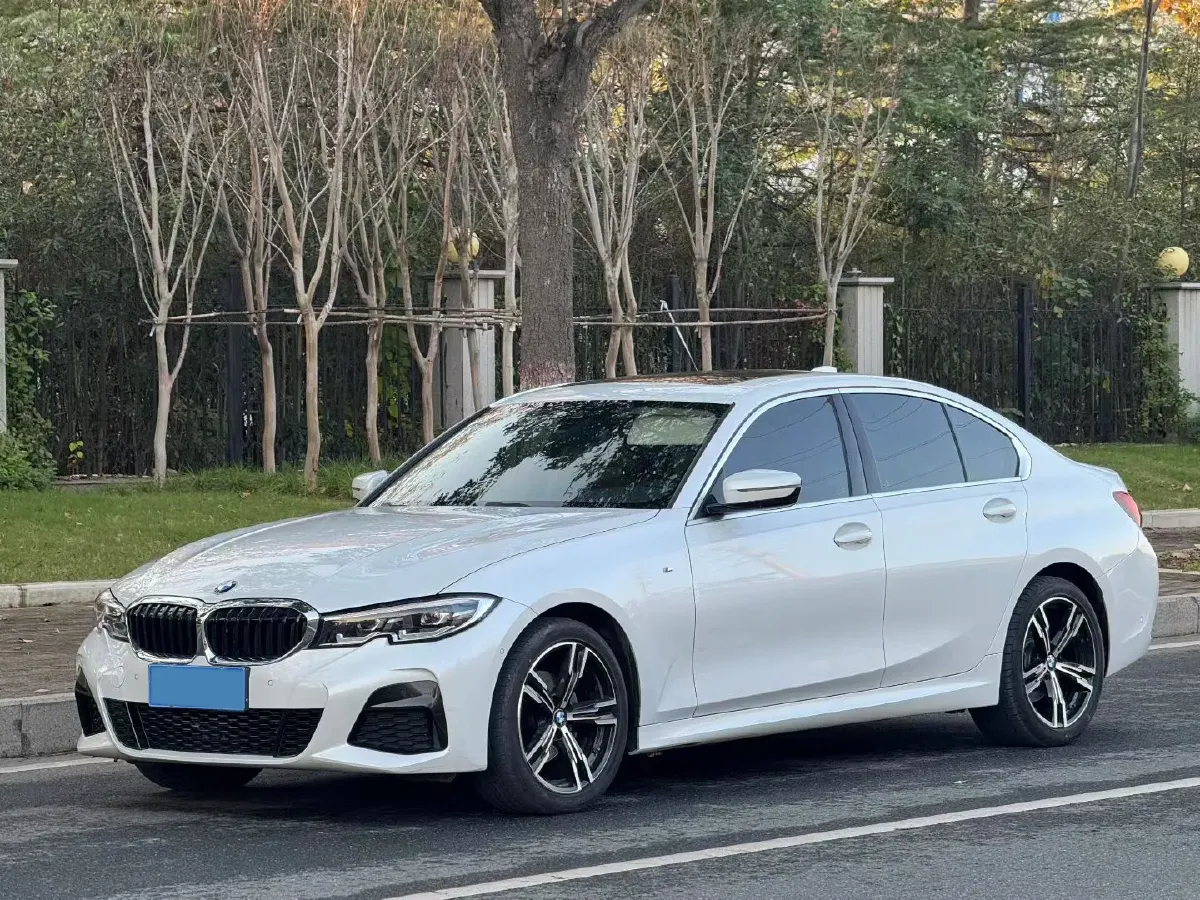 2021 BMW 3 Series 2.0T 184HP L4 8AT,autocango,china used car exporter,china ev exporter,chinese used car exporter,chinese used ev exporter
