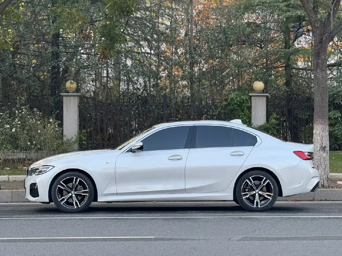 2021 BMW 3 Series 2.0T 184HP L4 8AT,autocango,china used car exporter,china ev exporter,chinese used car exporter,chinese used ev exporter