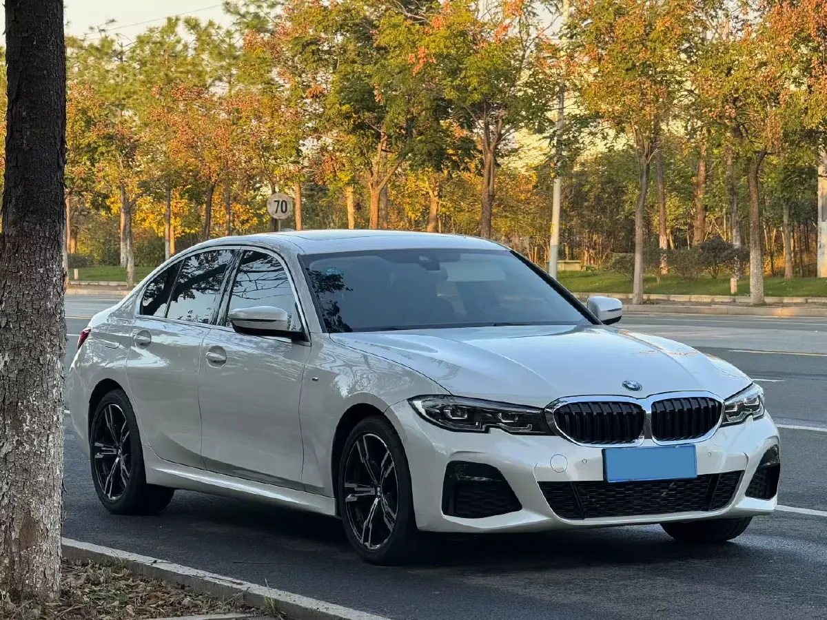 2021 BMW 3 Series 2.0T 184HP L4 8AT,autocango,china used car exporter,china ev exporter,chinese used car exporter,chinese used ev exporter