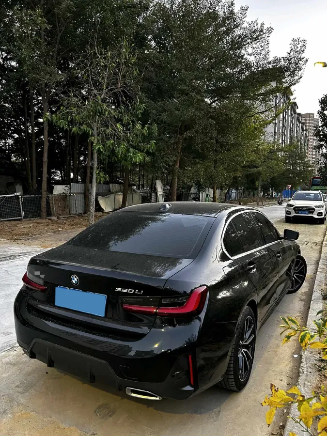 2024 BMW 3 Series 2.0T 156HP L4 8AT,autocango,china used car exporter,china ev exporter,chinese used car exporter,chinese used ev exporter