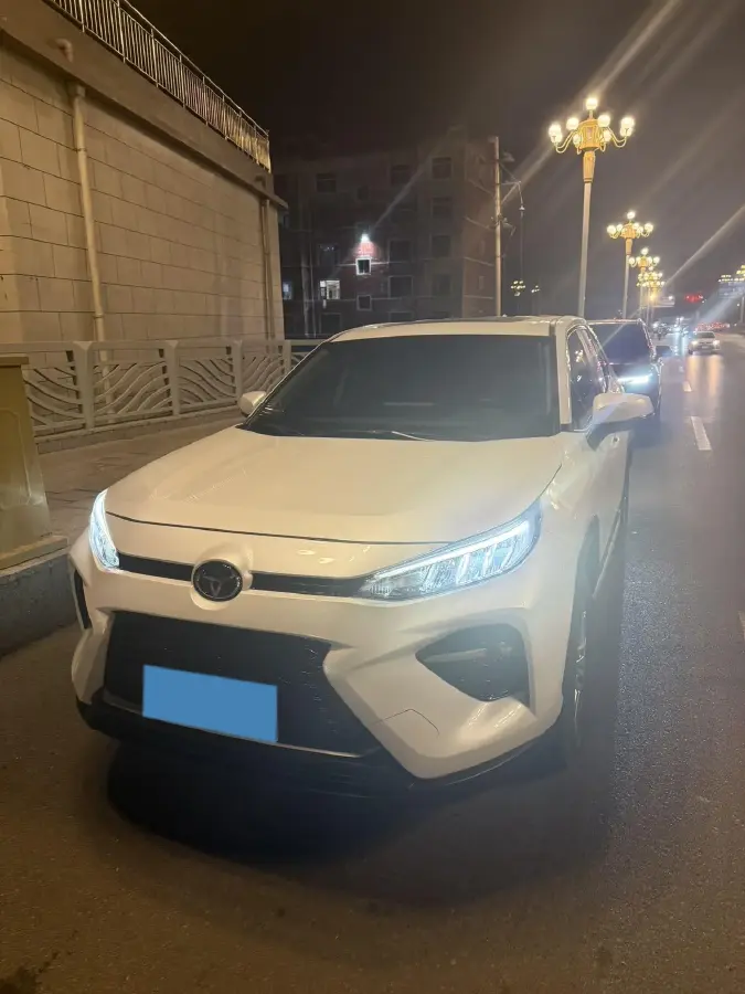 2021 Toyota Wildlander 2.0L 171HP L4 CVT