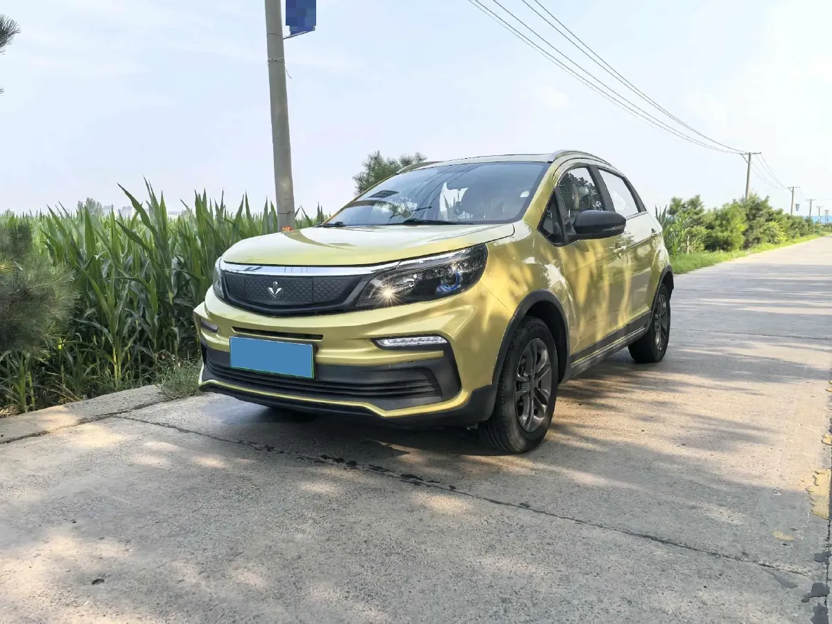 2020 Livan Maple 30X BEV 37KWH,autocango,china used car exporter,china ev exporter,chinese used car exporter,chinese used ev exporter