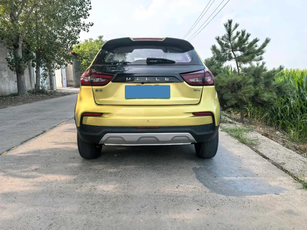2020 Livan Maple 30X BEV 37KWH,autocango,china used car exporter,china ev exporter,chinese used car exporter,chinese used ev exporter