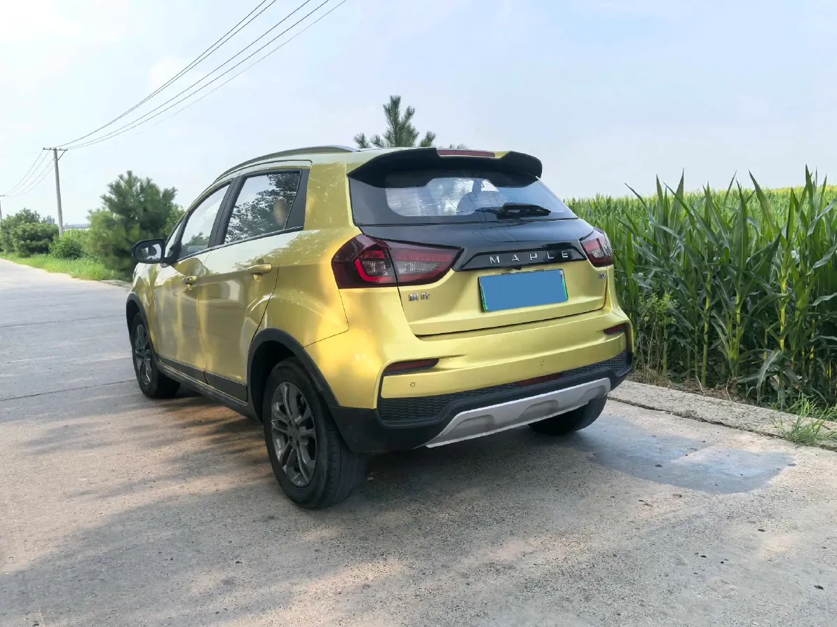 2020 Livan Maple 30X BEV 37KWH,autocango,china used car exporter,china ev exporter,chinese used car exporter,chinese used ev exporter