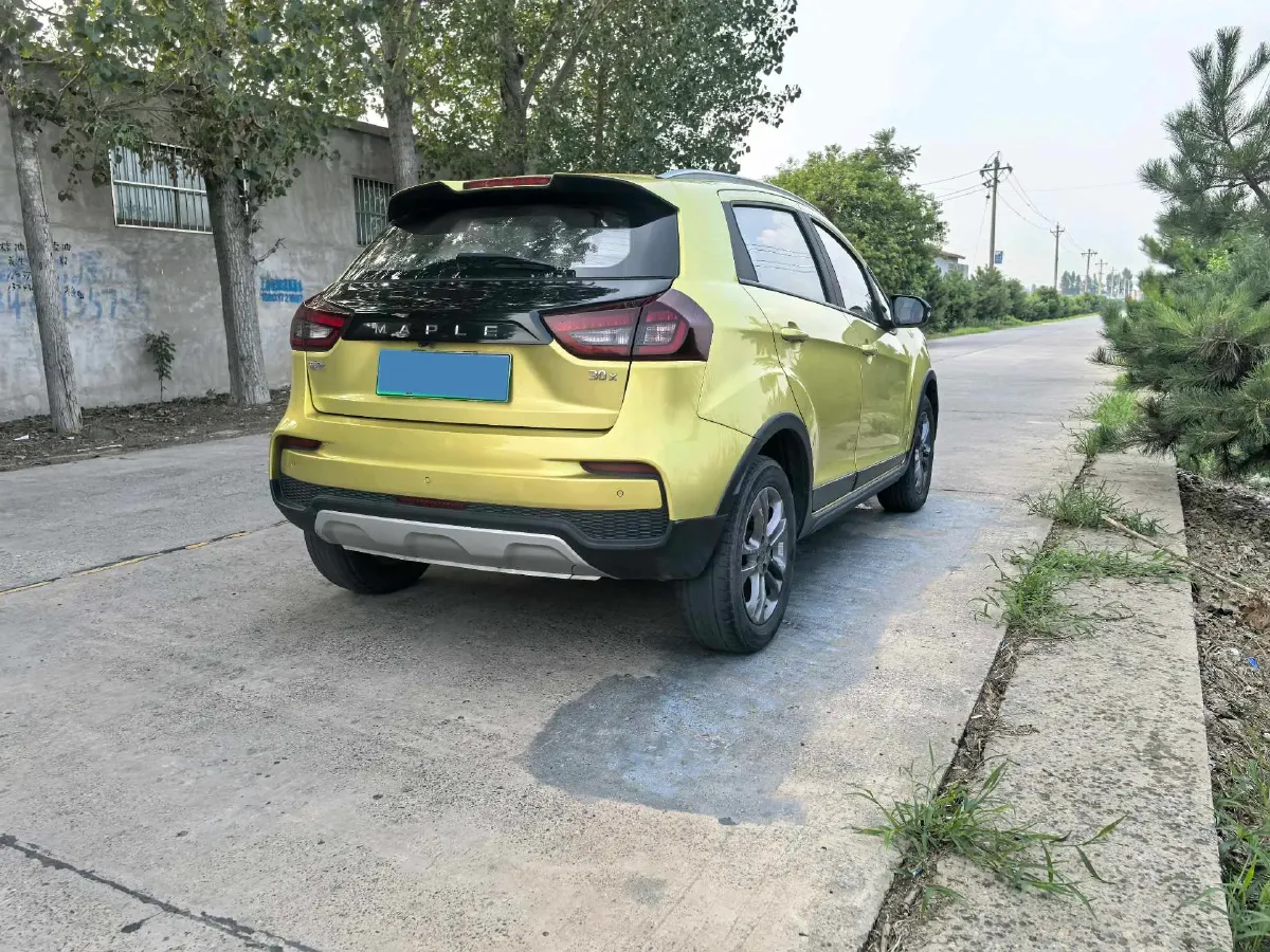 2020 Livan Maple 30X BEV 37KWH,autocango,china used car exporter,china ev exporter,chinese used car exporter,chinese used ev exporter