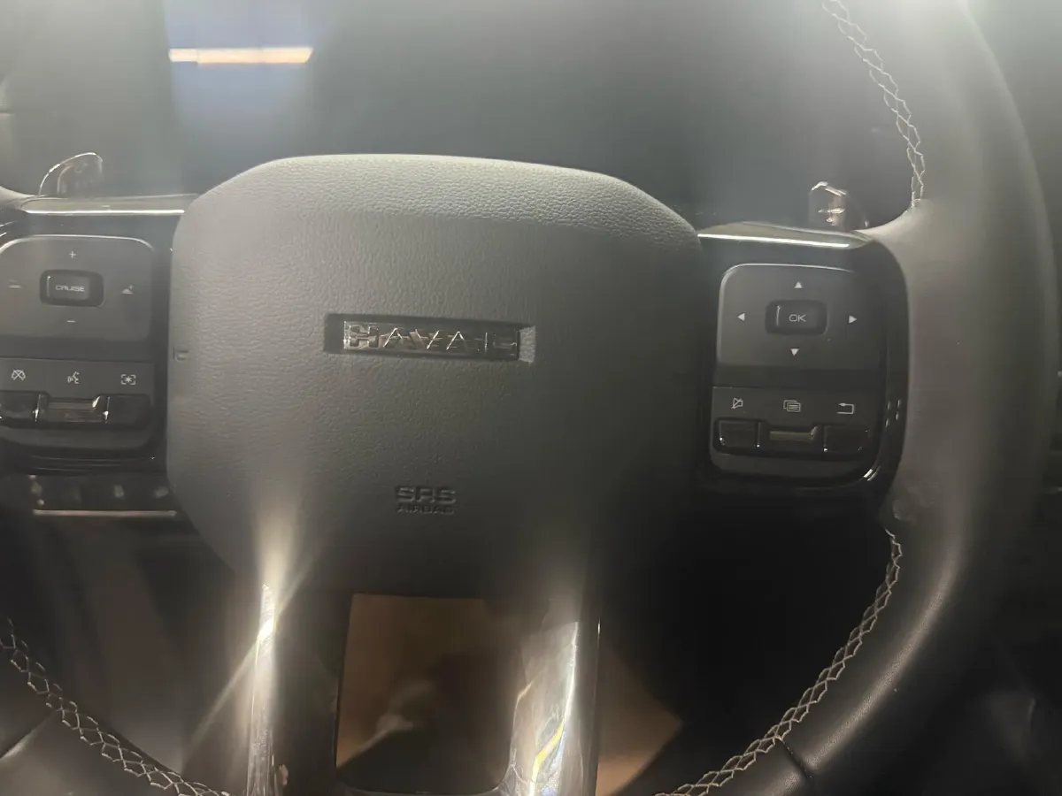 2023 Haval Dargo PLUS 2.0T 238HP L4 9DCT,autocango,china used car exporter,china ev exporter,chinese used car exporter,chinese used ev exporter