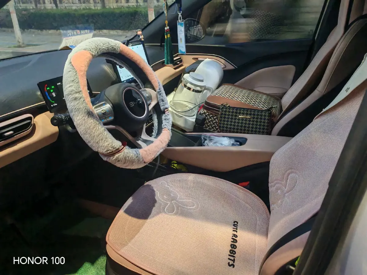 2025 BYD Seagull BEV 30.08KWH,autocango,china used car exporter,china ev exporter,chinese used car exporter,chinese used ev exporter