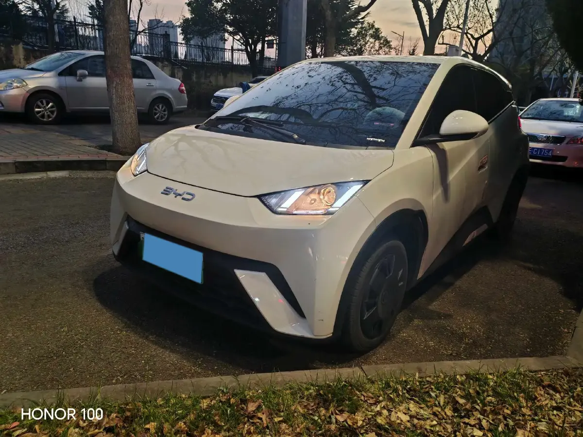 2025 BYD Seagull BEV 30.08KWH