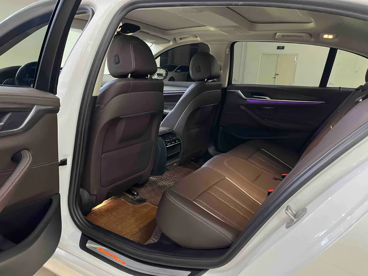 2021 BMW 5 Series 2.0T 184HP L4 8AT PHEV 17.7KWH,autocango,china used car exporter,china ev exporter,chinese used car exporter,chinese used ev exporter