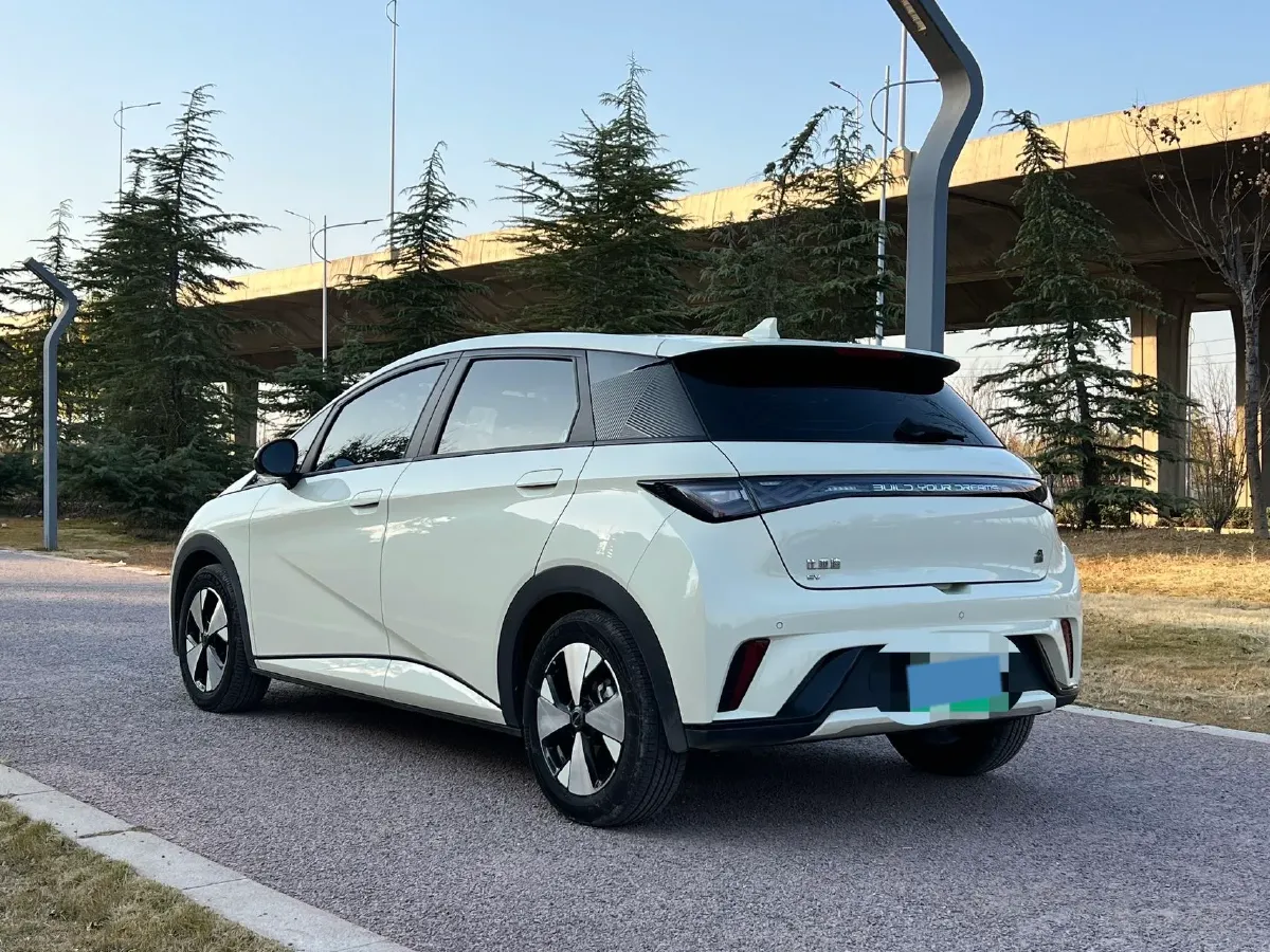 2023 BYD Dolphin BEV 44.928KWH,autocango,china used car exporter,china ev exporter,chinese used car exporter,chinese used ev exporter