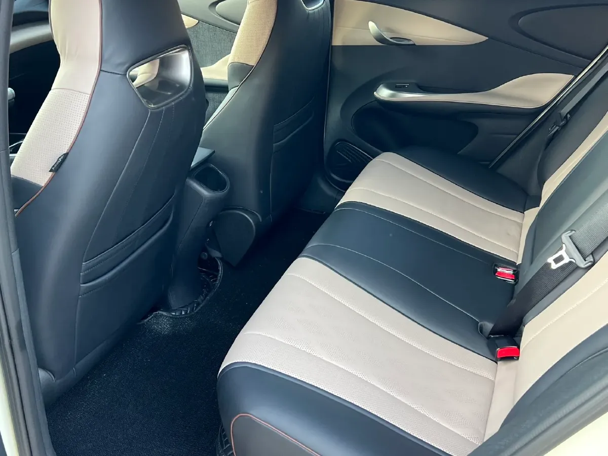 2023 BYD Dolphin BEV 44.928KWH,autocango,china used car exporter,china ev exporter,chinese used car exporter,chinese used ev exporter