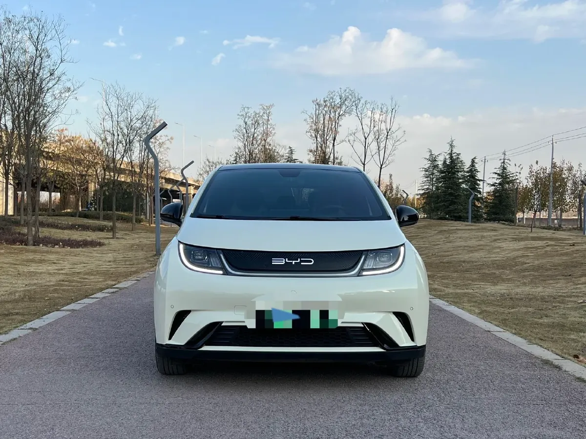 2023 BYD Dolphin BEV 44.928KWH,autocango,china used car exporter,china ev exporter,chinese used car exporter,chinese used ev exporter