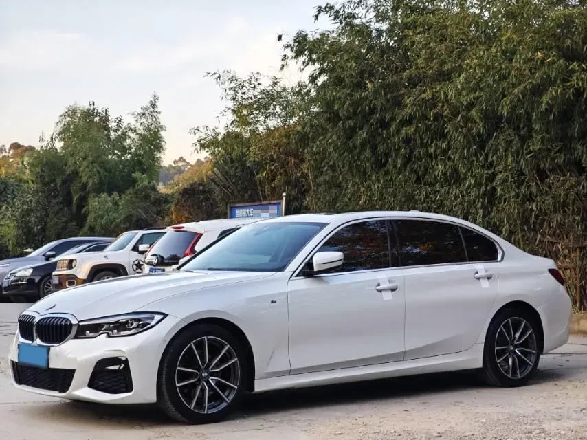 2021 BMW 3 Series 2.0T 156HP L4 8AT,autocango,china used car exporter,china ev exporter,chinese used car exporter,chinese used ev exporter
