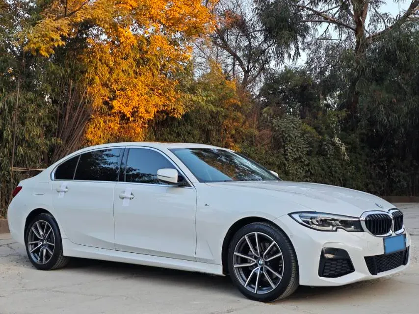 2021 BMW 3 Series 2.0T 156HP L4 8AT,autocango,china used car exporter,china ev exporter,chinese used car exporter,chinese used ev exporter