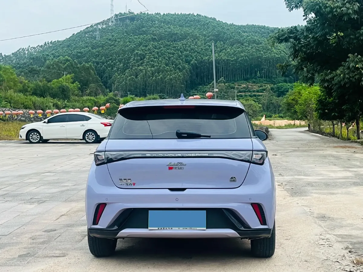 2023 BYD Dolphin BEV 44.928KWH,autocango,china used car exporter,china ev exporter,chinese used car exporter,chinese used ev exporter