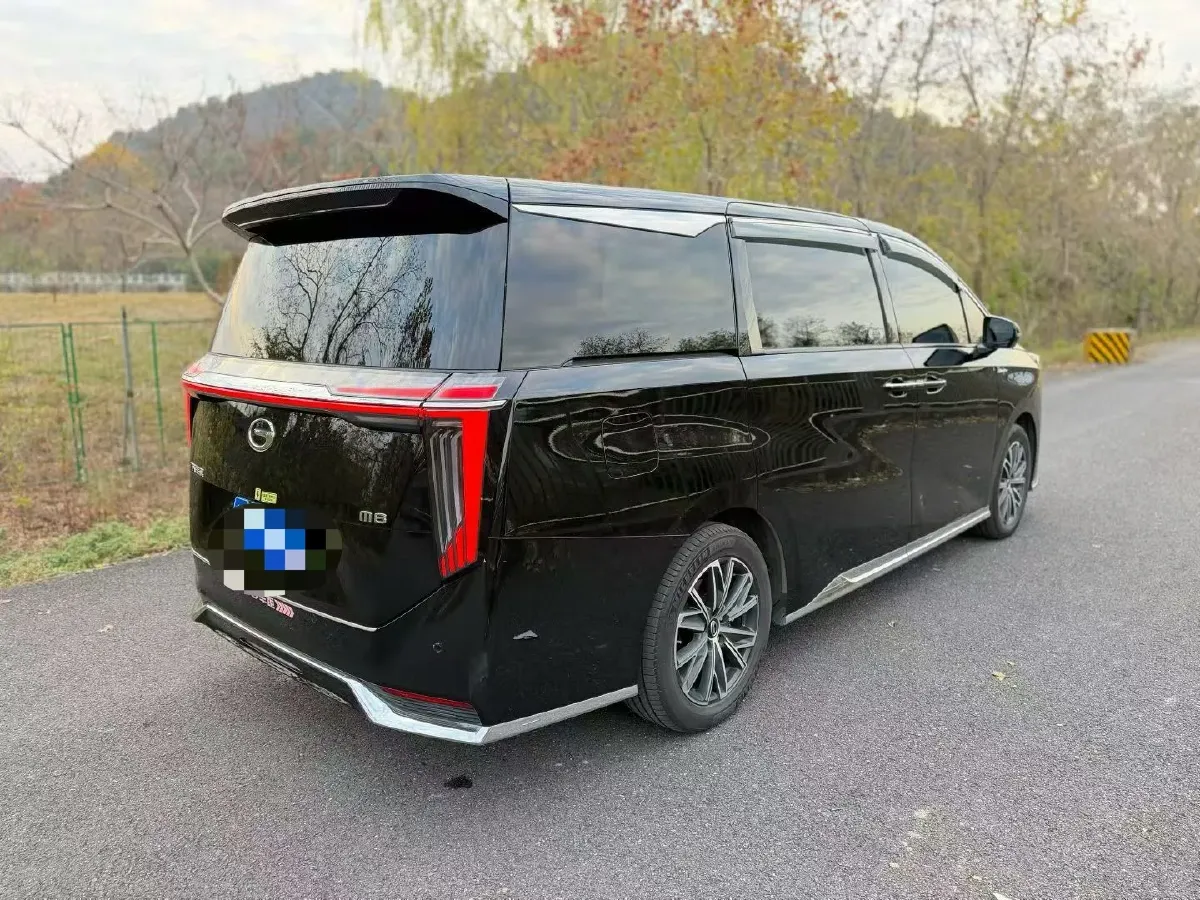 2024 GAC Trumpchi M8 2.0T 252HP L4 8AT,autocango,china used car exporter,china ev exporter,chinese used car exporter,chinese used ev exporter