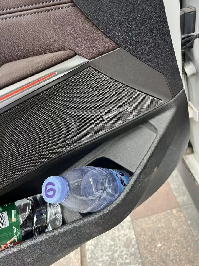 2020 BMW 3 Series 2.0T 184HP L4 8AT,autocango,china used car exporter,china ev exporter,chinese used car exporter,chinese used ev exporter