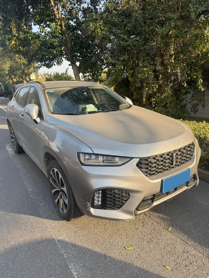 2017 WEY VV7 2.0T 234HP L4 7DCT,autocango,china used car exporter,china ev exporter,chinese used car exporter,chinese used ev exporter