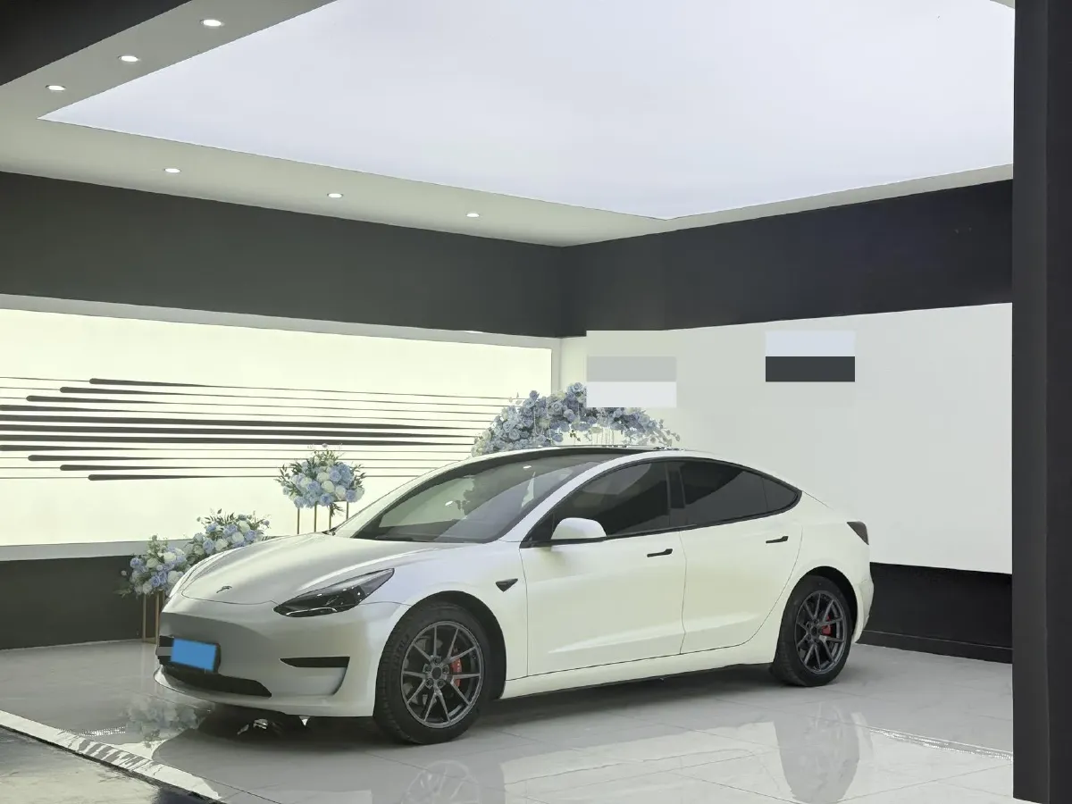 2021 Tesla Model 3 BEV 55KWH,autocango,china used car exporter,china ev exporter,chinese used car exporter,chinese used ev exporter