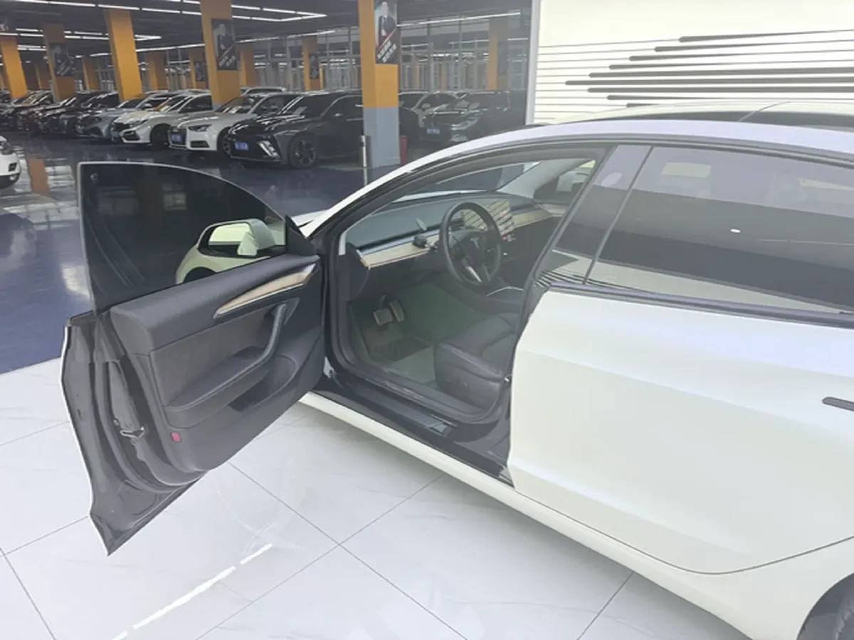 2021 Tesla Model 3 BEV 55KWH,autocango,china used car exporter,china ev exporter,chinese used car exporter,chinese used ev exporter