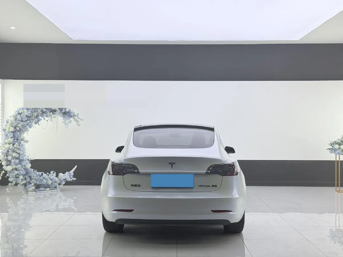 2021 Tesla Model 3 BEV 55KWH,autocango,china used car exporter,china ev exporter,chinese used car exporter,chinese used ev exporter