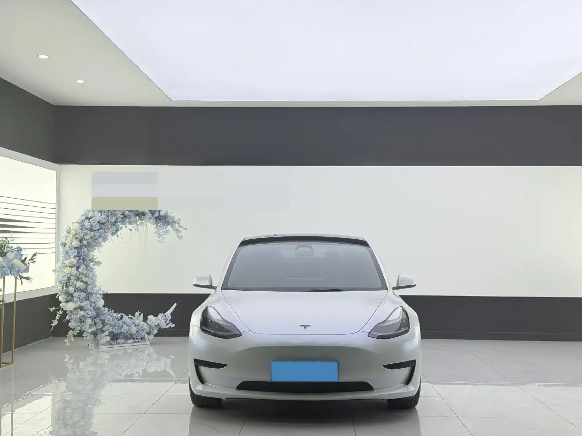 2021 Tesla Model 3 BEV 55KWH,autocango,china used car exporter,china ev exporter,chinese used car exporter,chinese used ev exporter