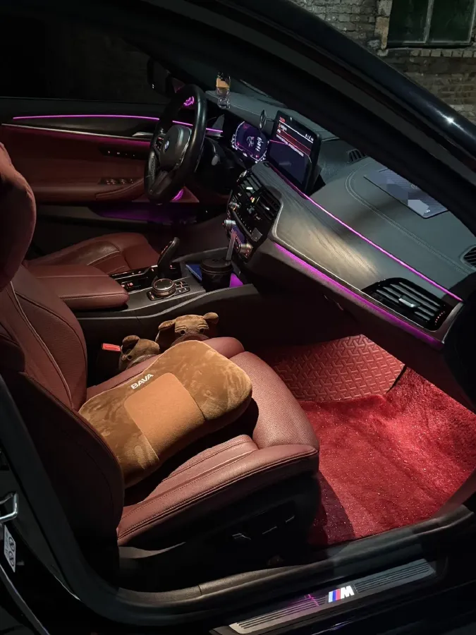 2021 BMW 5 Series 2.0T 252HP L4 8AT,autocango,china used car exporter,china ev exporter,chinese used car exporter,chinese used ev exporter