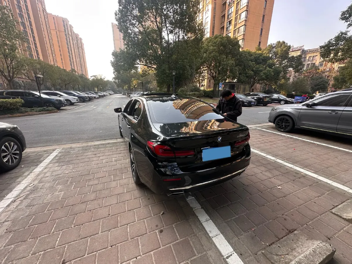 2021 BMW 5 Series 2.0T 252HP L4 8AT,autocango,china used car exporter,china ev exporter,chinese used car exporter,chinese used ev exporter