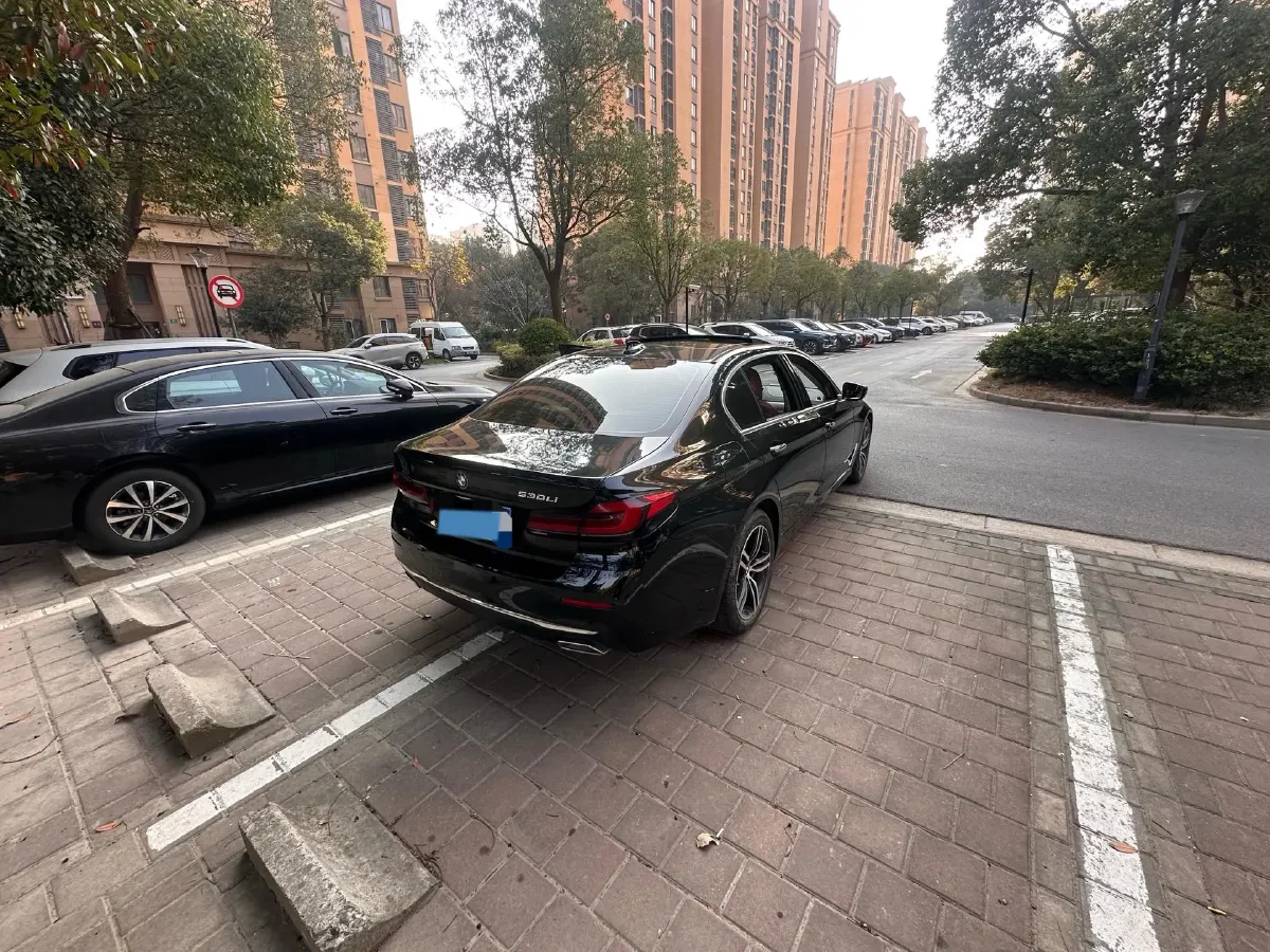 2021 BMW 5 Series 2.0T 252HP L4 8AT,autocango,china used car exporter,china ev exporter,chinese used car exporter,chinese used ev exporter