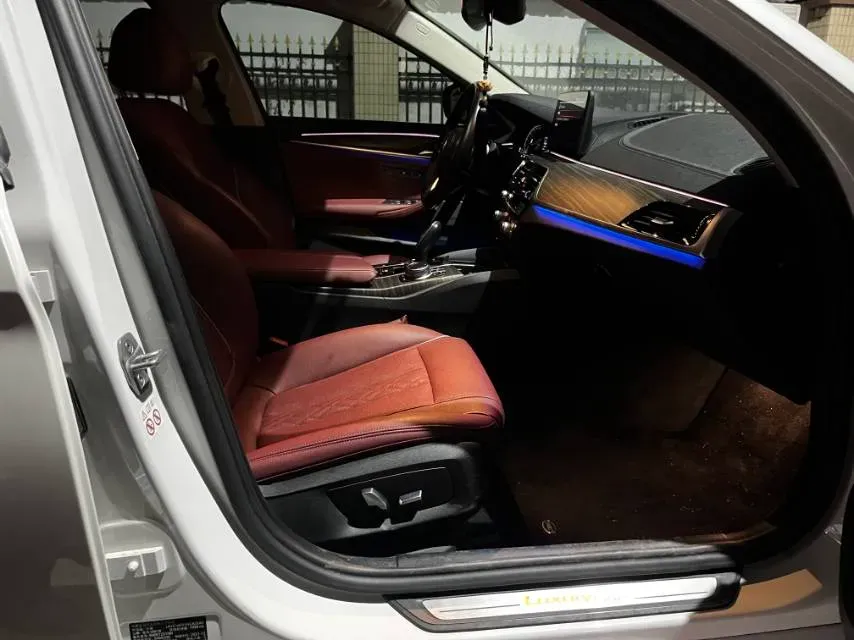 2022 BMW 5 Series 2.0T 252HP L4 8AT,autocango,china used car exporter,china ev exporter,chinese used car exporter,chinese used ev exporter