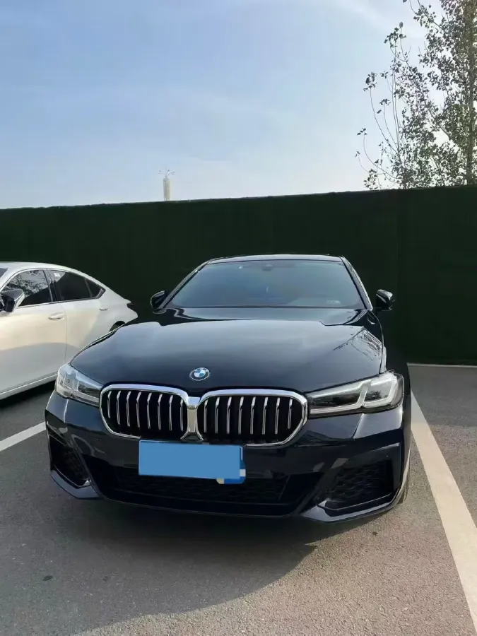 2022 BMW 5 Series 2.0T 184HP L4 8AT,autocango,china used car exporter,china ev exporter,chinese used car exporter,chinese used ev exporter