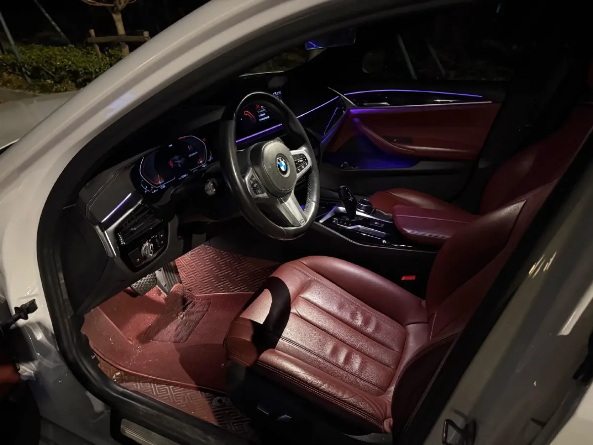 2020 BMW 5 Series 2.0T 252HP L4 8AT,autocango,china used car exporter,china ev exporter,chinese used car exporter,chinese used ev exporter