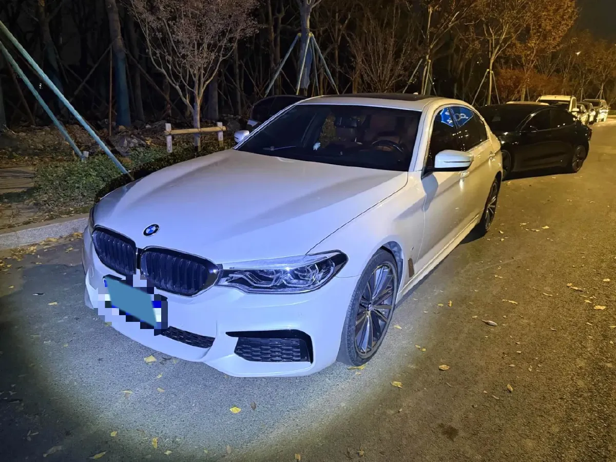2020 BMW 5 Series 2.0T 252HP L4 8AT,autocango,china used car exporter,china ev exporter,chinese used car exporter,chinese used ev exporter