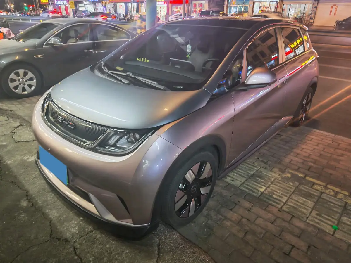 2021 BYD e2 BEV 43.2KWH