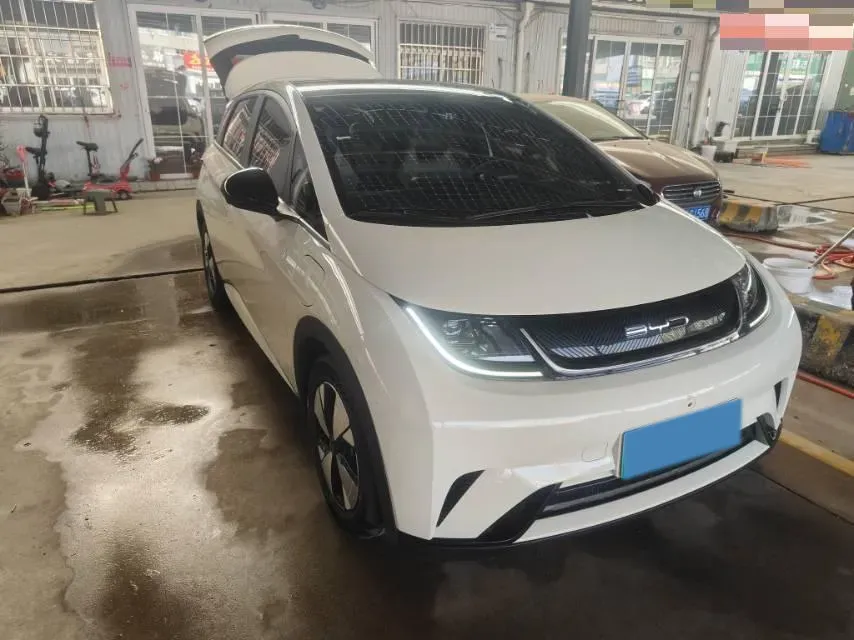 2023 BYD Dolphin BEV 44.928KWH,autocango,china used car exporter,china ev exporter,chinese used car exporter,chinese used ev exporter