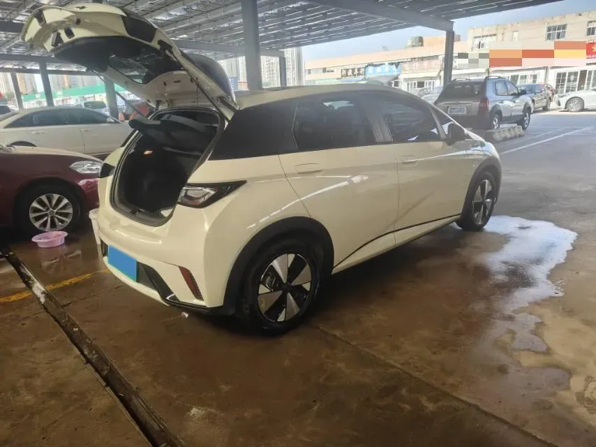 2023 BYD Dolphin BEV 44.928KWH,autocango,china used car exporter,china ev exporter,chinese used car exporter,chinese used ev exporter